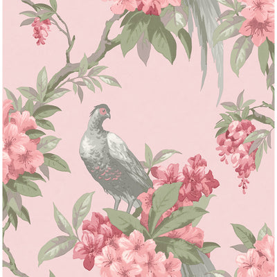 Golden Pheasant Pink Floral Wallpaper
