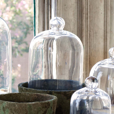 Medium Glass Bell Cloche Jar