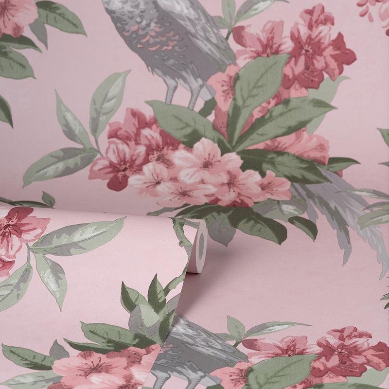 Golden Pheasant Pink Floral Wallpaper
