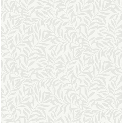 Salix Silver Leaf Wallpaper