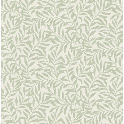 Salix Sage Leaf Wallpaper