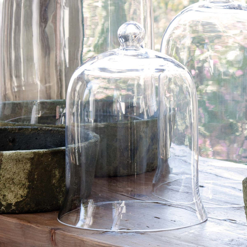 Extra-Large Glass Bell Cloche Jar – Hill Home Decor