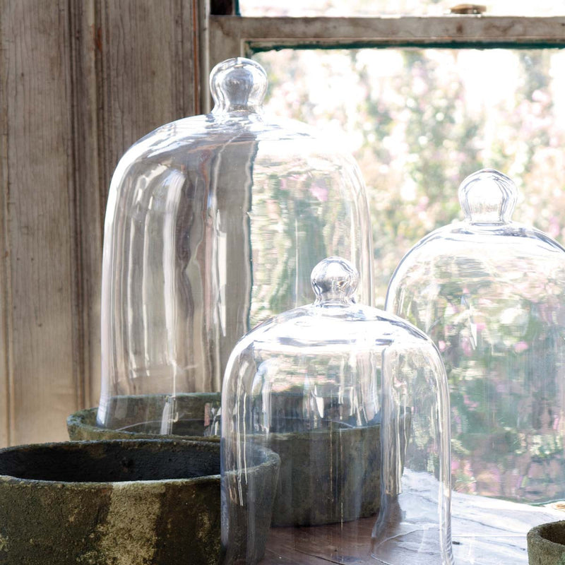 Extra-Large Glass Bell Cloche Jar